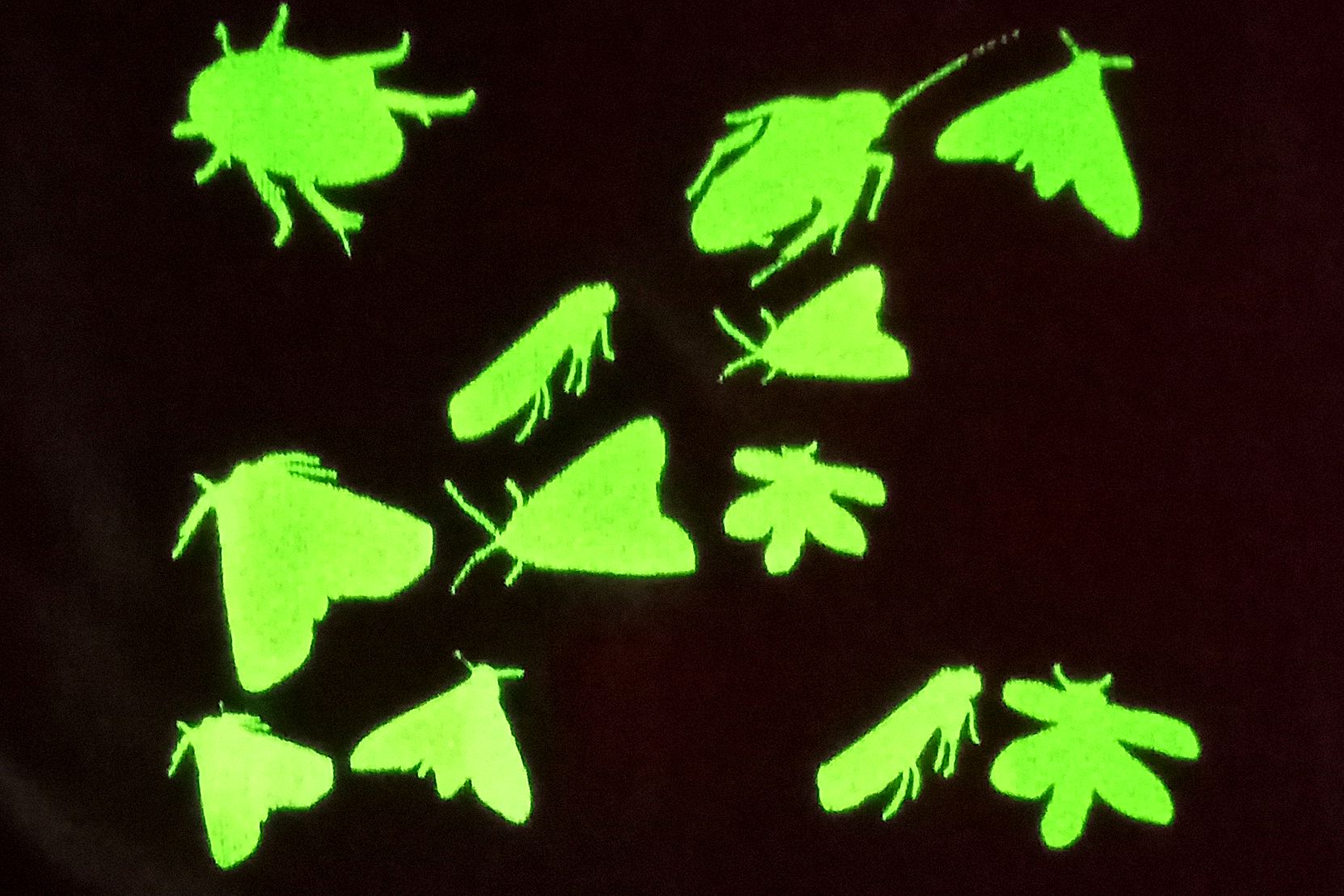 Mindig van új a nap alatt