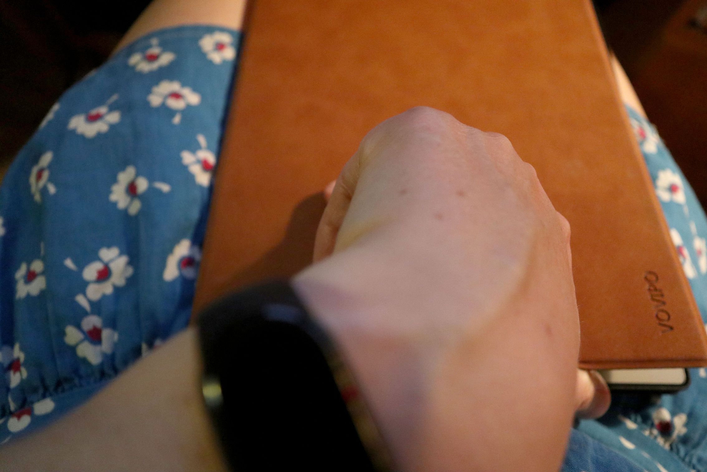 Látogatás az állatkertben